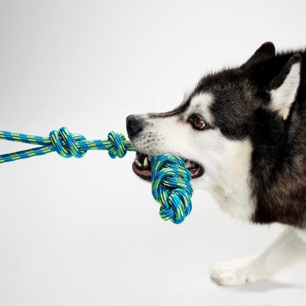 5cad7bfa04a00614c424c79d dogs rope toy
